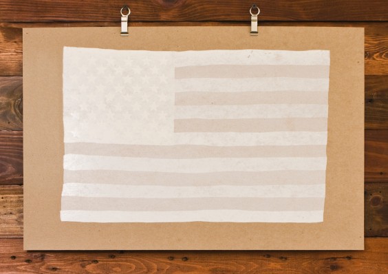 American Flag Art Print (White)